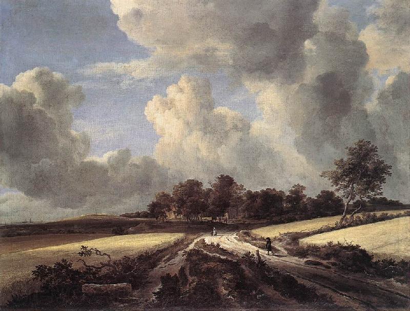 RUISDAEL, Jacob Isaackszon van Wheat Fields dh Norge oil painting art